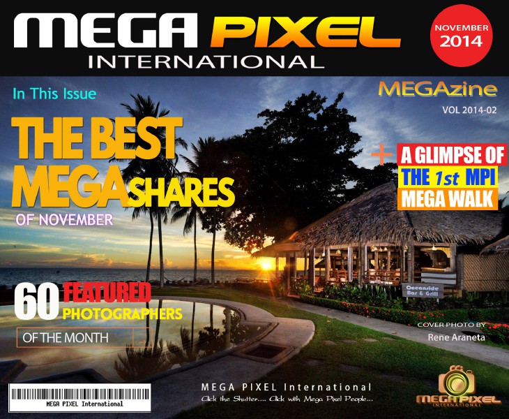 MPI BEST of MEGAShares - November 2014 Vol 2014-02 Vol 2014- 02
