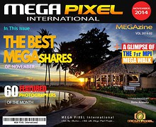 MPI BEST of MEGAShares - November 2014 Vol 2014-02