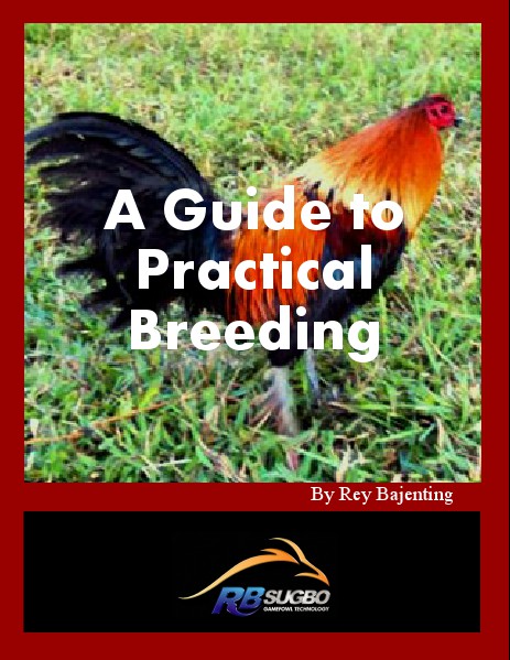 A Guide to Practical Breeding First edition,  2012