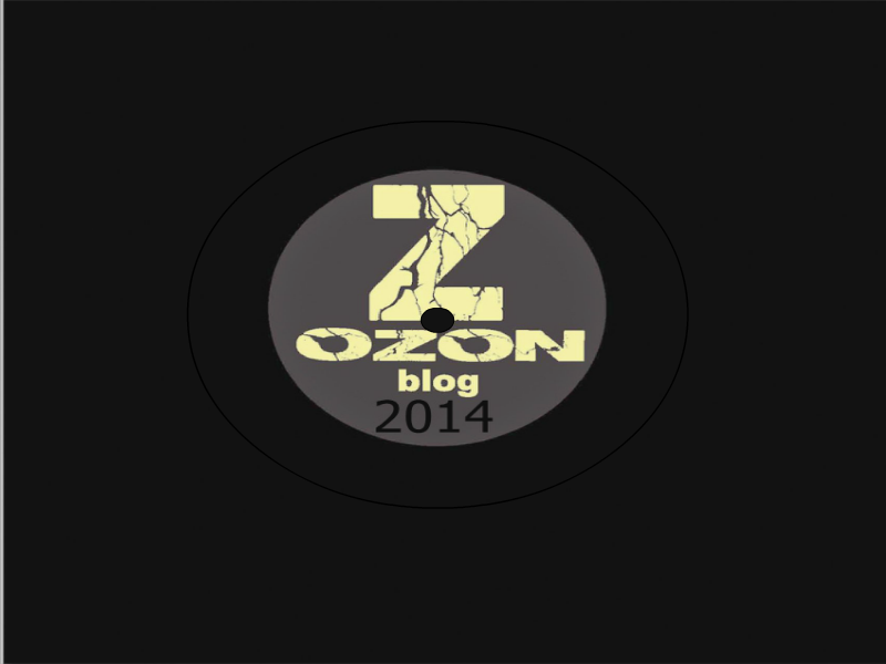 ZOZON blog 2014