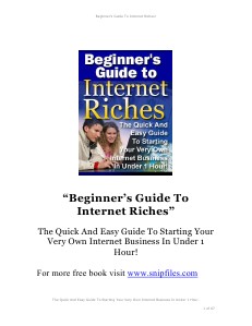 beginners guide to internet riches Jan. 2011
