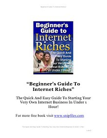 beginners guide to internet riches