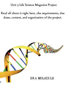 DNA Unit Science Project DNA Unit Science Project
