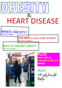 Can Obesity Kill You 1