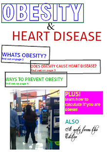 Can Obesity Kill You