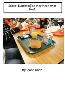 School Lunches, Are They Good or Not?