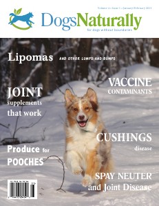 Dogs Naturally Magazine  January 2013
