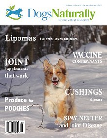 Dogs Naturally Magazine 