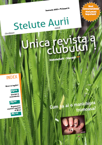 Revista SteluteAurii Ianuarie 2013 - Volumul 2