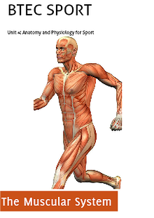 Unit 4: Anatomy and Physiology for Sport 