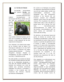 Mundo Animal... Salvemos al Gorila de Odzala...