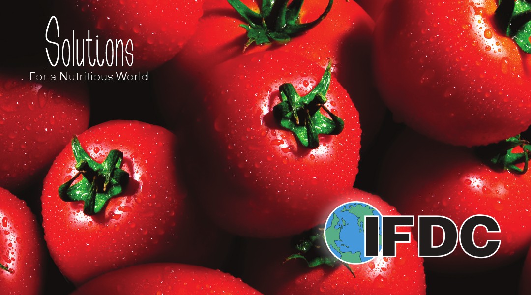 IFDC Brochures Solutions for a Nutritious World