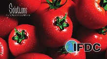 IFDC Brochures