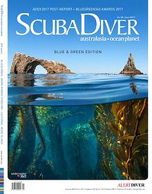 Asian Diver and Scuba Diver