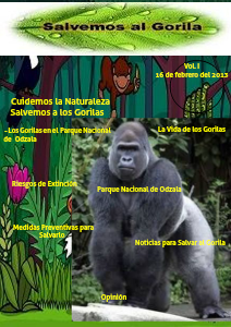 Gorilas en extinción I