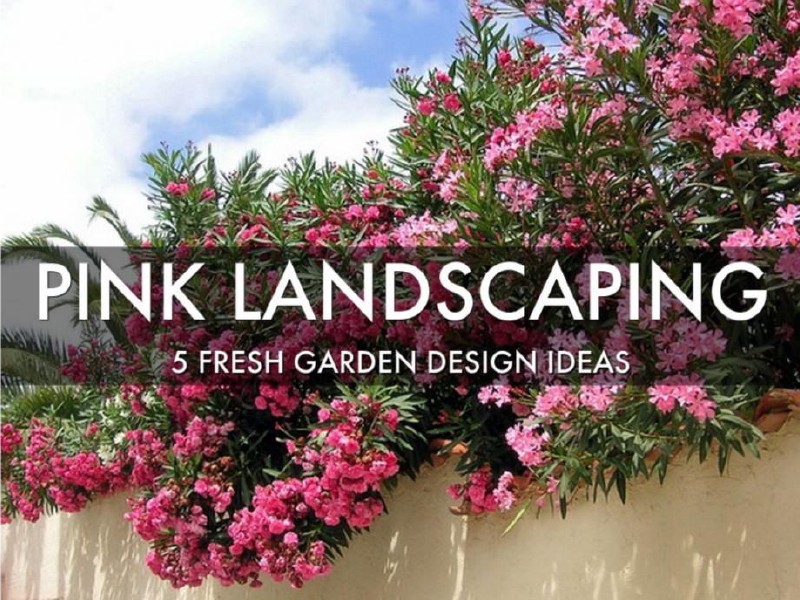 Pink Landscaping Apr. 2015