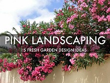 Pink Landscaping
