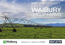 Waibury Group Farms Brochure
