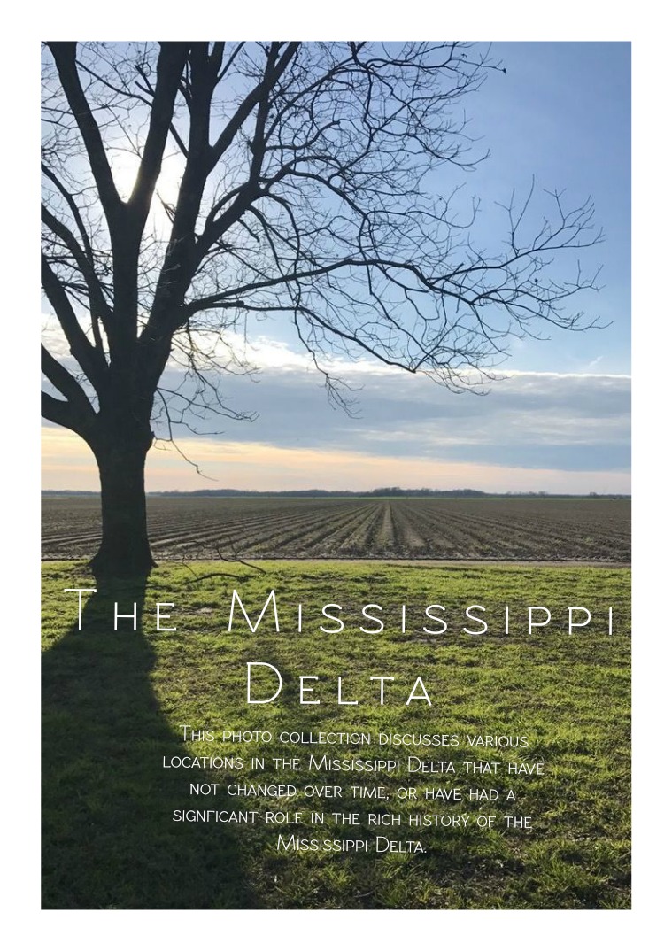 The Mississippi Delta - The Mississippi Delta