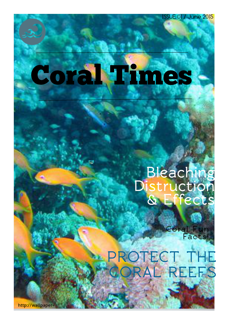 Coral Reef Destruction Coral Reef Destruction