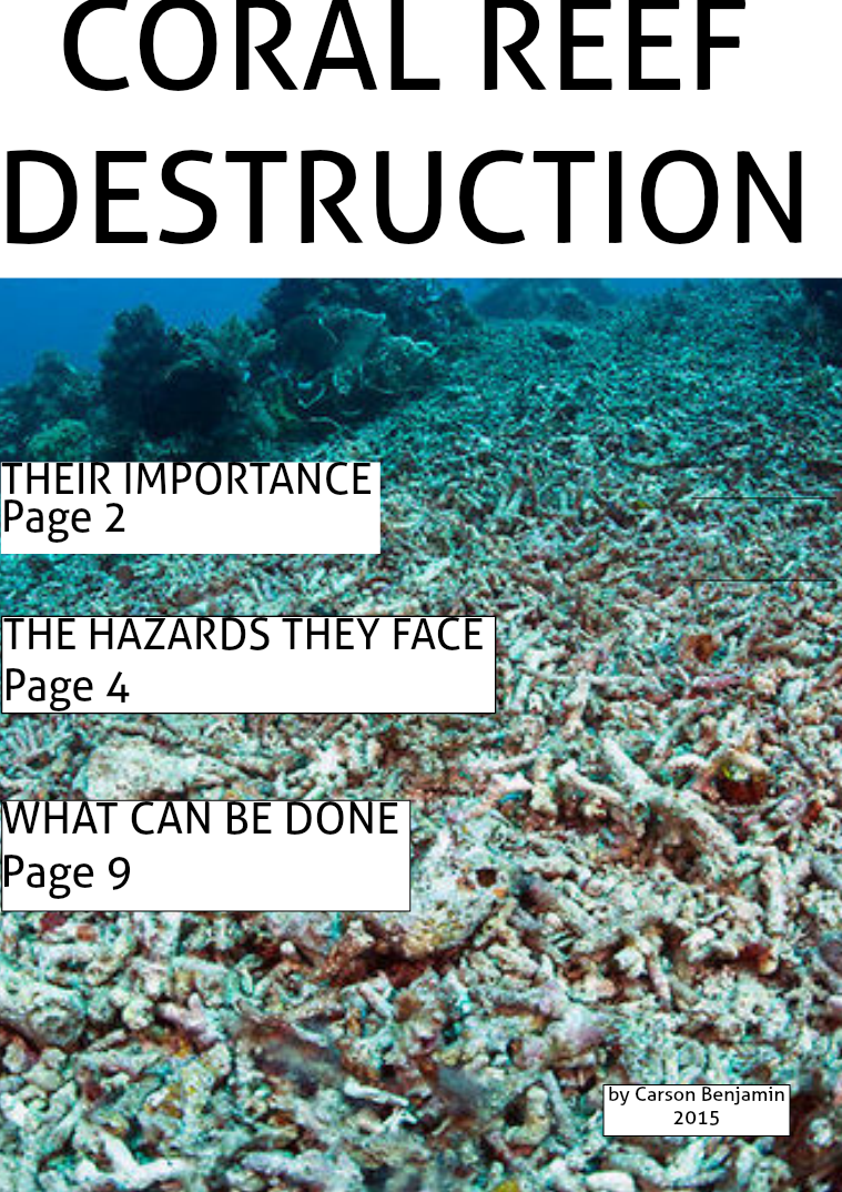Coral Reef Destruction- by C. Benjamin June 2015