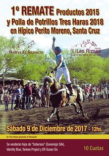 Remate Prod. 2015 y Polla Tres Haras 2018 Híp.Perito Moreno, Sta.Cruz