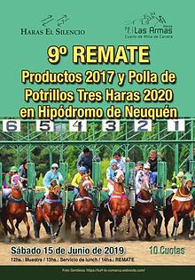 9º REMATE Productos 2017 y Polla de Potrillos Tres Haras 2020