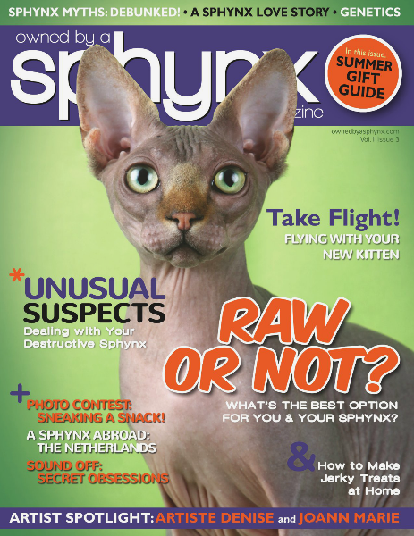 Owned by a Sphynx Volume 1, Issue 3