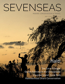SEVENSEAS Marine Conservation & Travel
