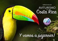 Costa Rica Birding B&B Catálogo Junio 2017