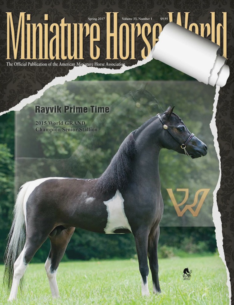 2017 Miniature Horse World SPRING Issue
