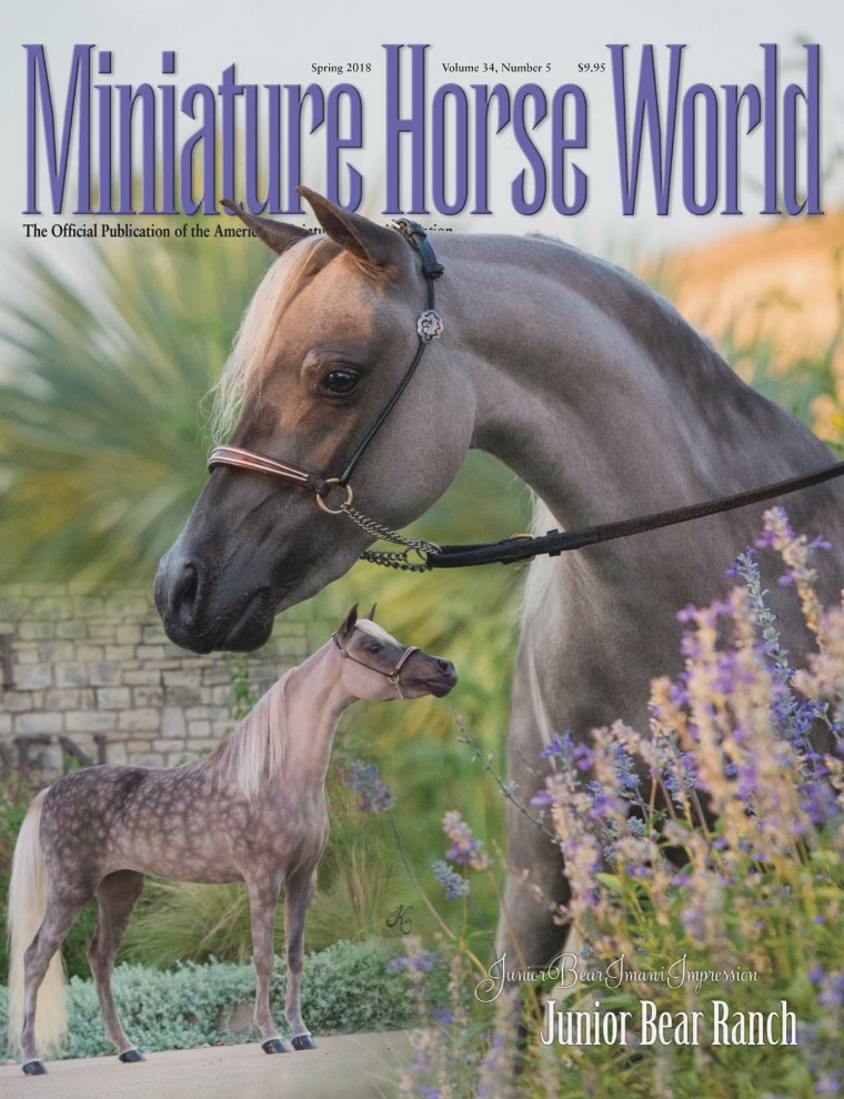 2018 Miniature Horse World Magazine SPRING, Volume 34,  Number 2