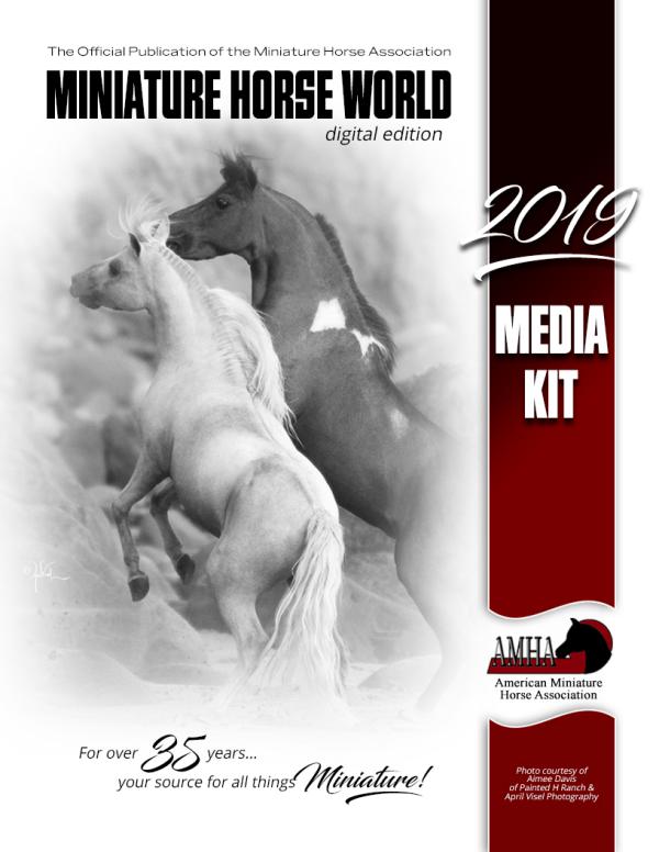 2019 Media Kit 2019 MHW Rates & Specs Sheets booklet
