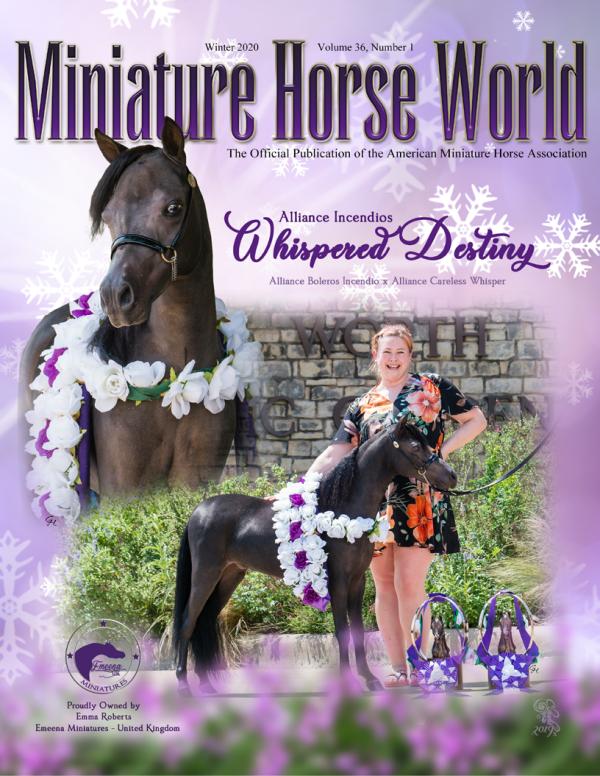 2020 Miniature Horse World Winter Edition Magazine 36