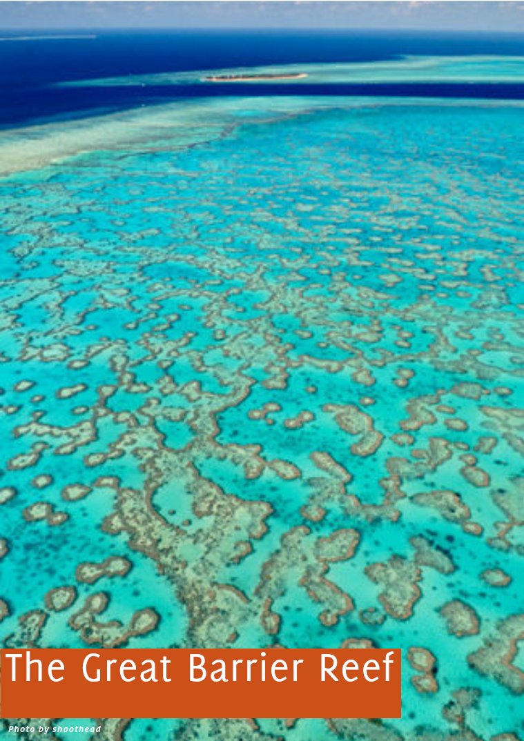 The Great Barrier Reef 15/7/15
