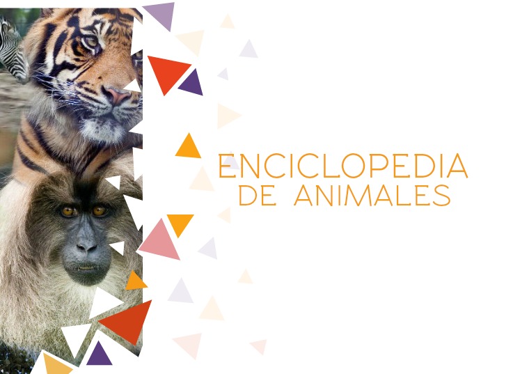 Enciclopedia de animales. Escuela N° 22 DE 3 Número 1.