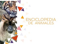 Enciclopedia de animales. Escuela N° 22 DE 3