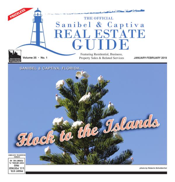 Real Estate Guide January 2019