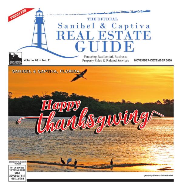 Real Estate Guide November 2020 Edition