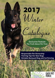 EasyPetFence Winter 2017