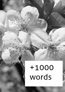+1000 Words May 2013