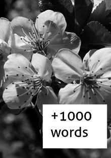 +1000 Words