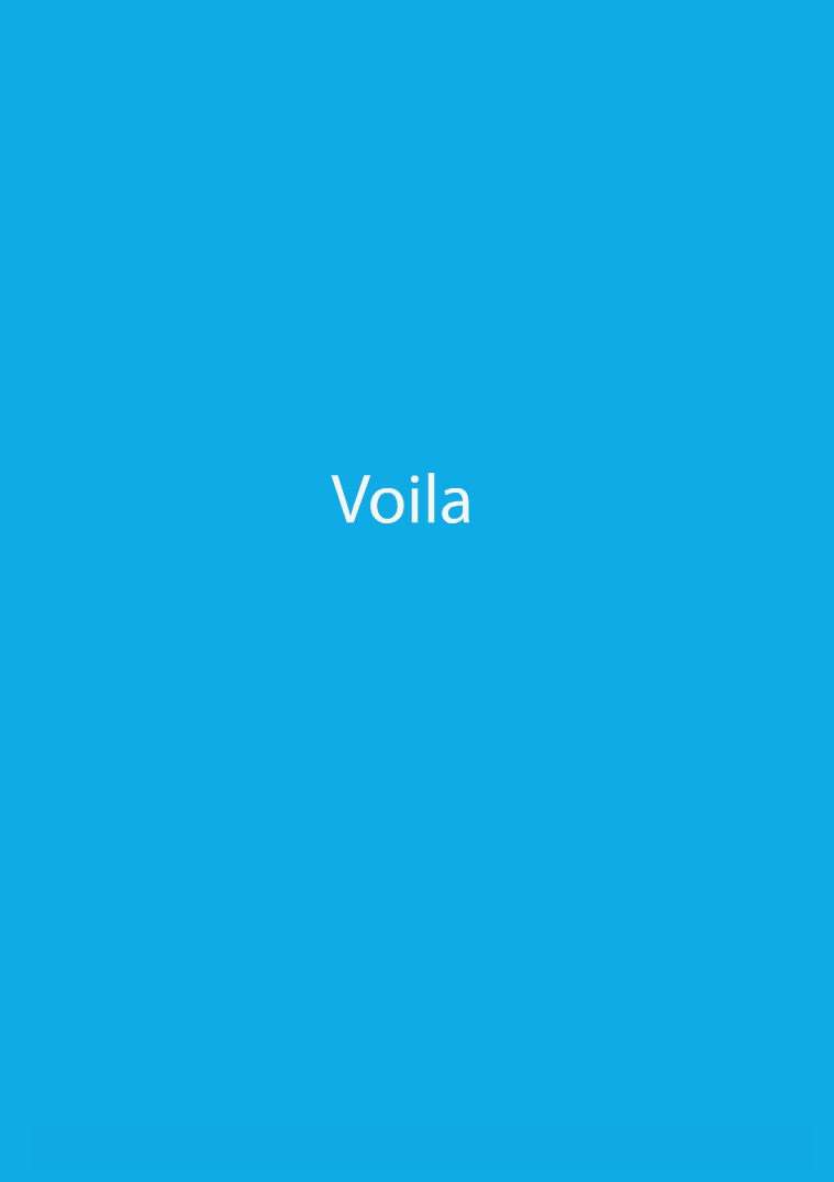 Voila Project Report Vol.I