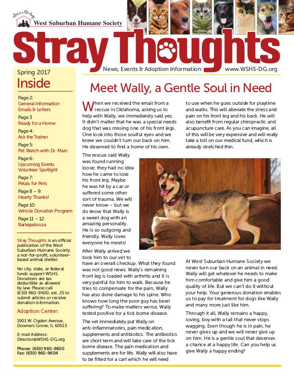 Stray Thoughts 2017 Volume 2 Newsletter