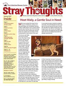Stray Thoughts 2017 Volume 2