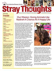Stray Thoughts 2018 Volume 4