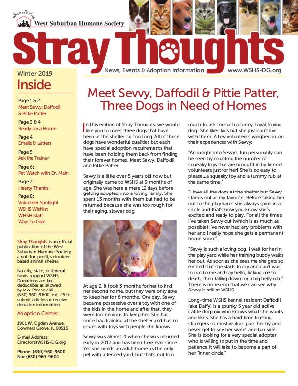 Stray Thoughts 2019 Volume 1 Winter 2019 Newsletter_Digital