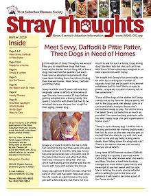Stray Thoughts 2019 Volume 1