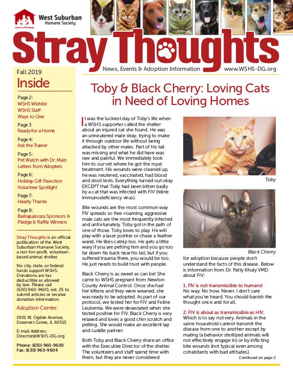 Stray Thoughts 2019 Volume 4 Fall 2019 Newsletter_Digital