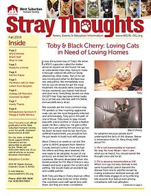 Stray Thoughts 2019 Volume 4
